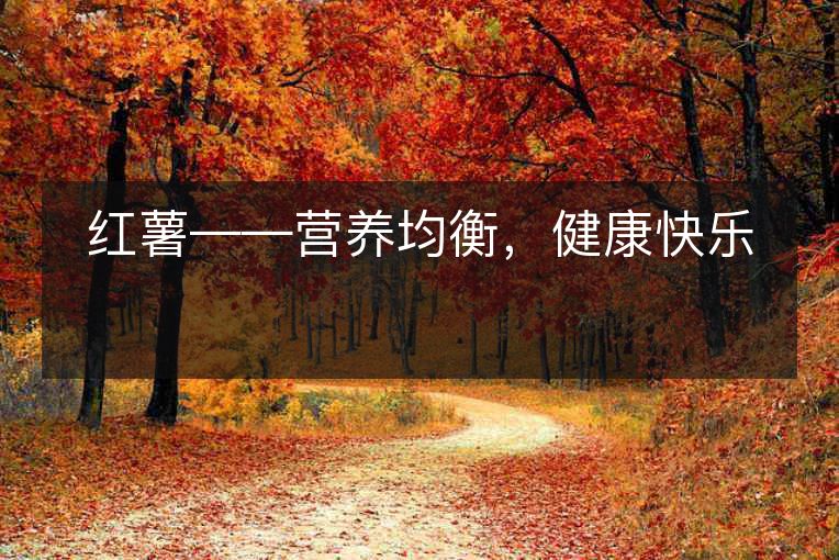 红薯——营养均衡,健康快乐 红薯——营养均衡,健康快乐