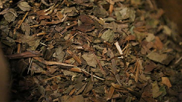 孕妇可以吃鱼腥草吗,吃鱼腥草的注意事项有哪些